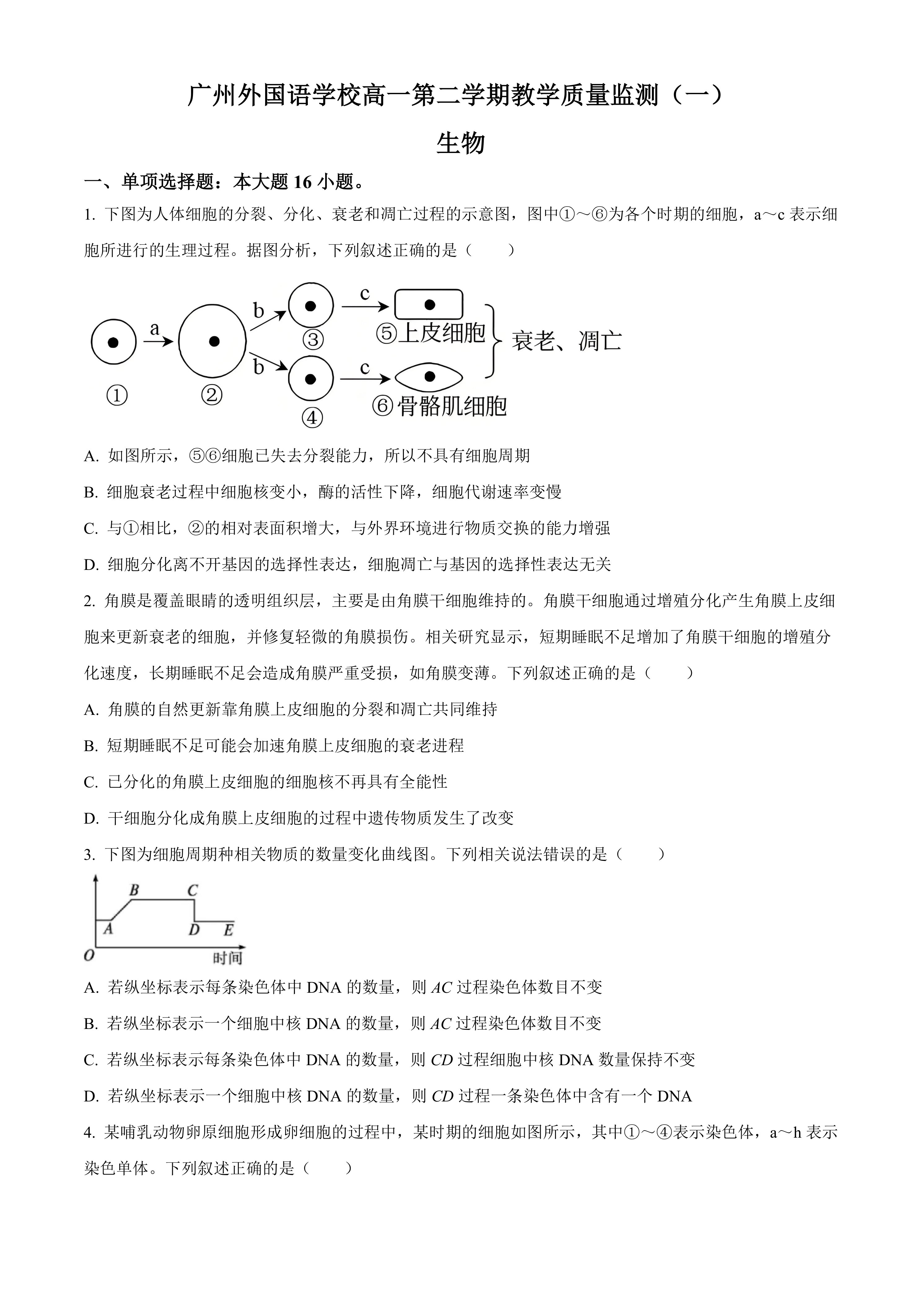 广东省广州市南沙区广州外国语学校2024-2025学年高一下学期3月月考生物试题(含答案)